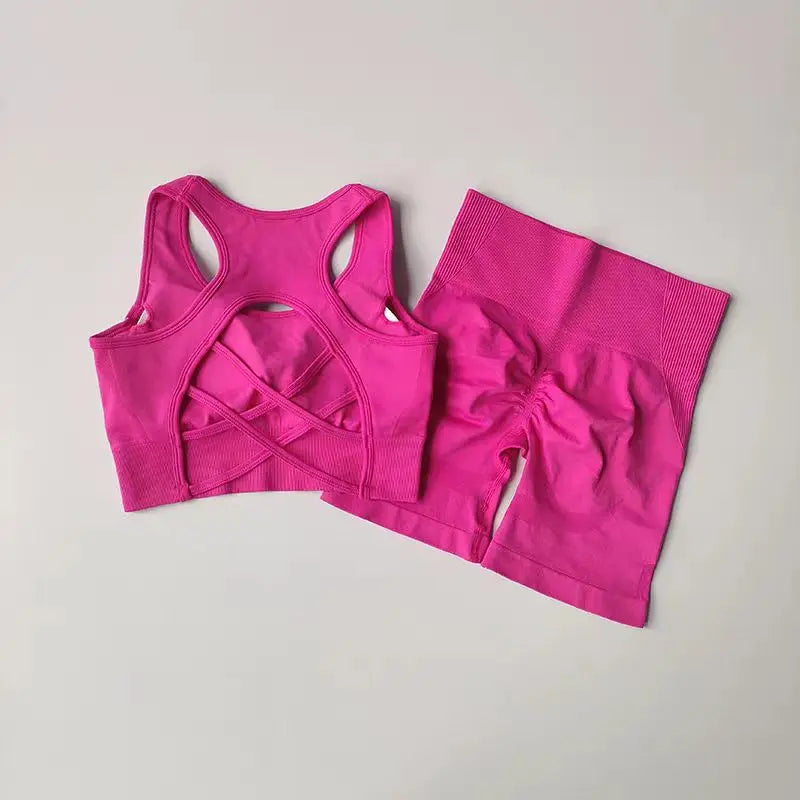 2PCS Women’s Seamless Yoga Set – High Waist Sports Shorts & Sexy Sport Bra Gym Workout Outfit
